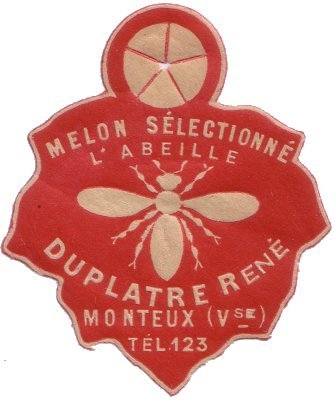 melon