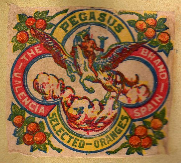 agrume