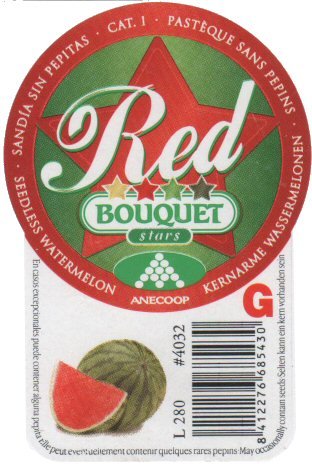 pastèque