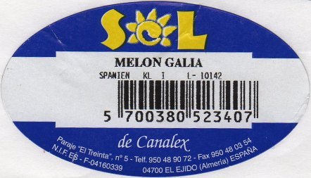 melon