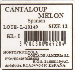 melon