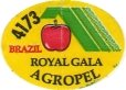 pomme