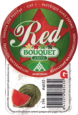 pastèque