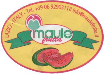 melon
