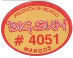 mangue