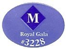 m royal gala #3228
