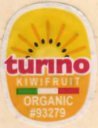 turino kiwifruit organic #93279
