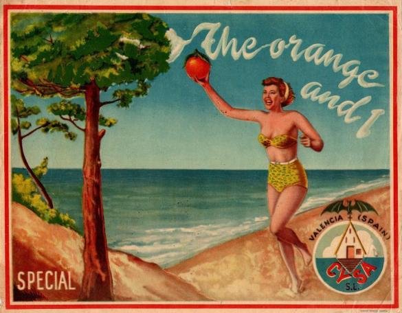 the orange and cysa valencia spain