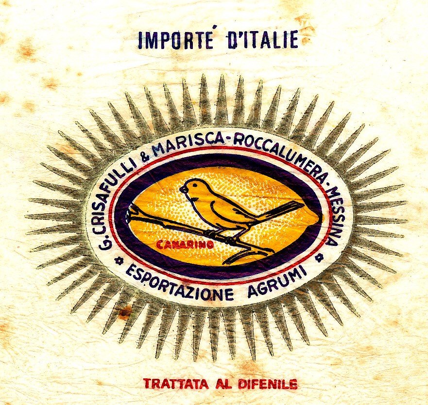 canarino g. crisafulli & marisca roccalumera messina esportazione agrumi trattata al difenile