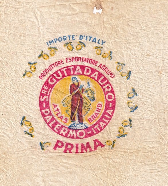 atlas brand sre guttadauro palermo italia prima produttore esportatore agrumi importe d italy