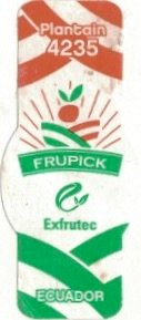 Frupick plantain 4235 exfrutec ecuador