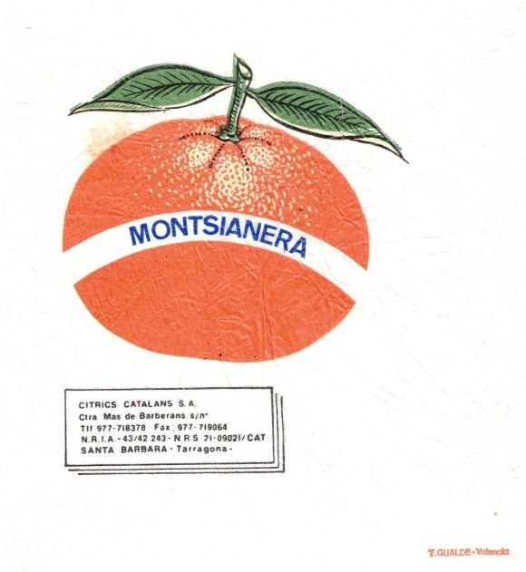 montsianera citrics catalans mas de barberans santa barbara tarragona