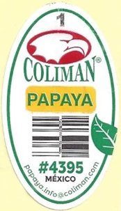 Coliman 1 papaya #4395 mexico papaya.info@coliman.com