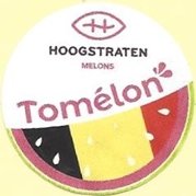 hoogstraten melons tomelon