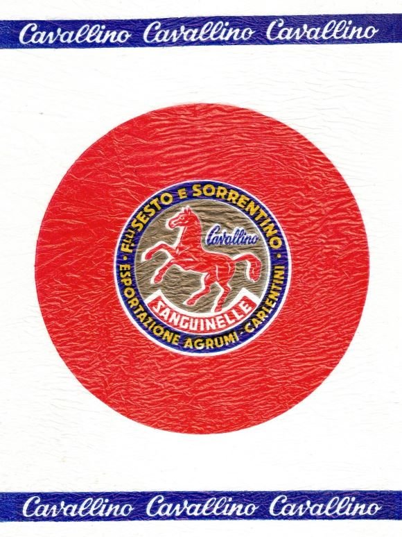 sanguinelle cavallino sesto e sorrentinoesportazione agrumi carlentini