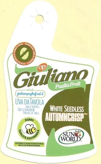 giuliano puglia fruit white seedless autumncrisp sun world