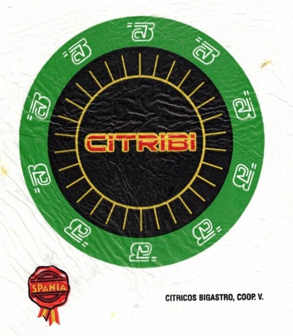 citribi citricos bigastro spania