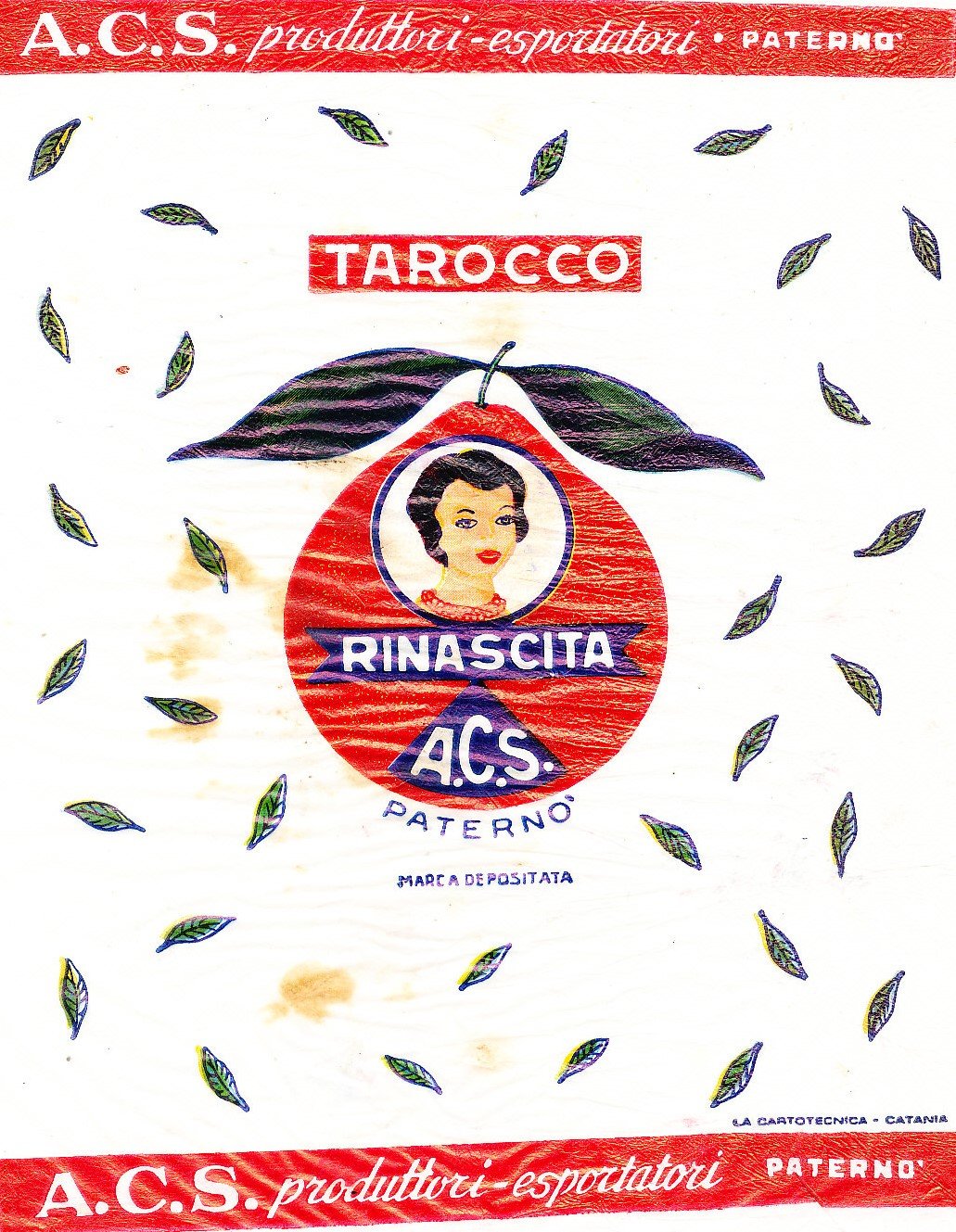tarocco Rinascita a.c.s. paterno produttotri esportatori