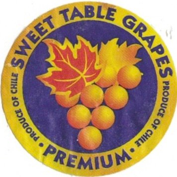 Sweet table grapes produce of chile premium