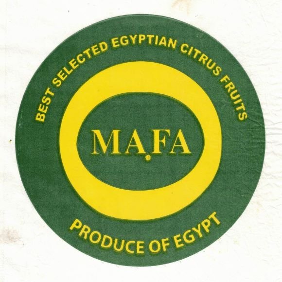 Mafa best selected egyptian citrus fruits produce of egypt