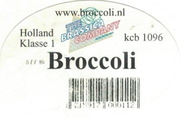 The Brassica Company www.broccoli.nl holland klasse 1 kcb 1096 broccoli 8715917000112