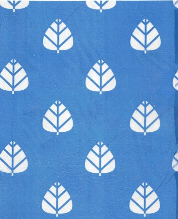 sansnom (feuilles)