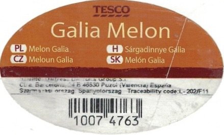 Tesco galia melon pl melon galia cz meloun galia h sargadinnye galia sk meloun galia 10074763