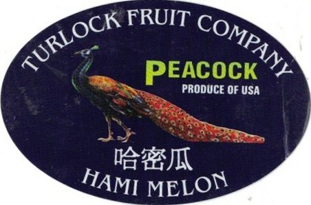 Turlock Fruit Company peacock produce of usa hami melon
