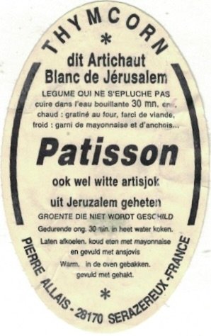 Thymcorn dit artichaut blanc de jerusalem patisson ook wel witte artisjok uit jerusalem geheten pierre alliais 28170 serazereux france