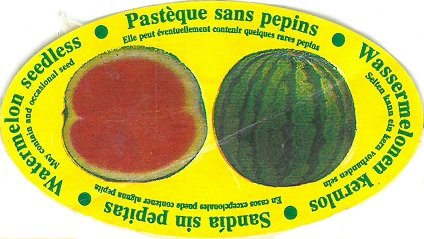 pasteque sans pepins elle peut eventuellement contenir quelques rares pepins
