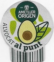 Ametller origen avocat al punt