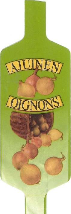ajuinen oignons