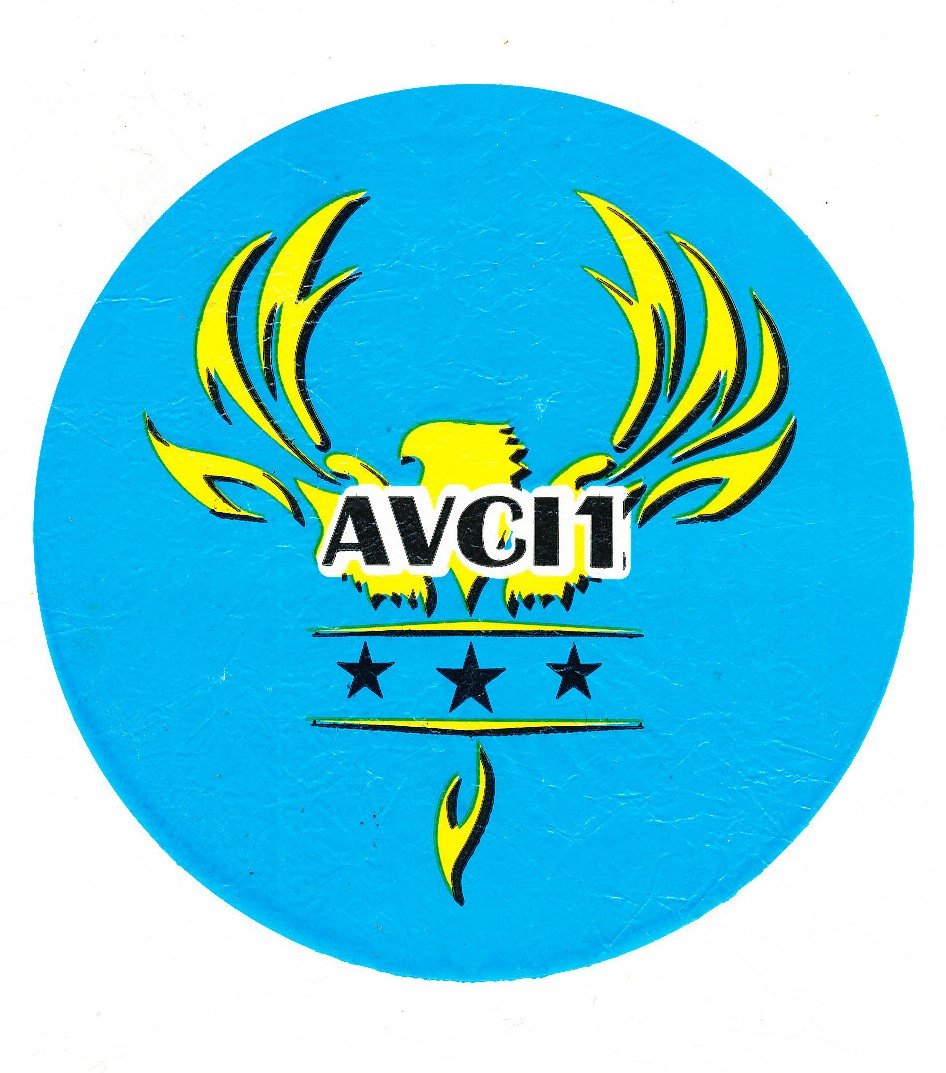 avci1
