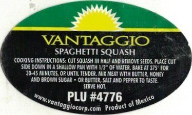 Vantaggio spaghetti squash plu #4776 www.vantaggiocorp.com product of mexico