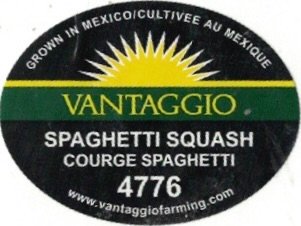 Vantaggio grown in mexico spaghetti squash courge spaghetti 4776 www.vantaggiofarming.com