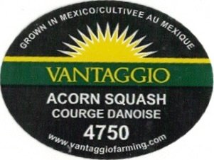 Vantaggio grown in mexico cultivee au mexique acorn squash courge danois 4750 www.vantaggiofarming.com