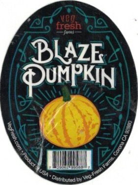 Veg Fresh farms blaze pumpkin product of usa 729062995887