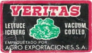 Veritas lettuce iceberg vacuum cooled empaque tado por agro exportaciones s.a.