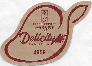 Delicity fresh export mangoes 4959