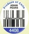 produce of chile asian pears 4408