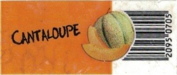 cantaloupe 20950705