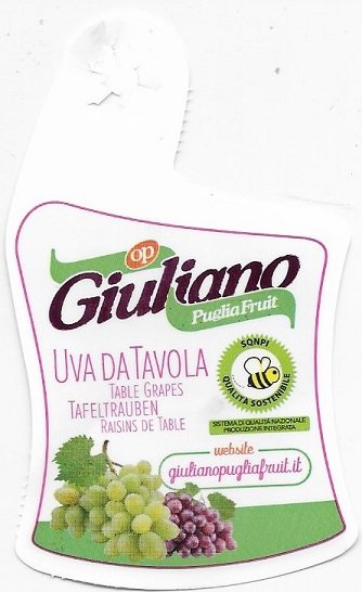 Giuliano puglia fruit uva da tavola giulianopugliafruit.it