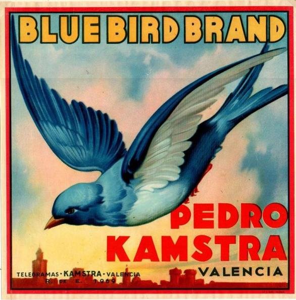 blue bird brand pedrokamstra valencia