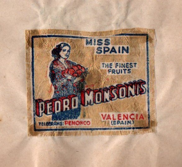 Miss spain the finest fruits pedro monsonis valencia spain