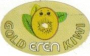 Eren gold kiwi