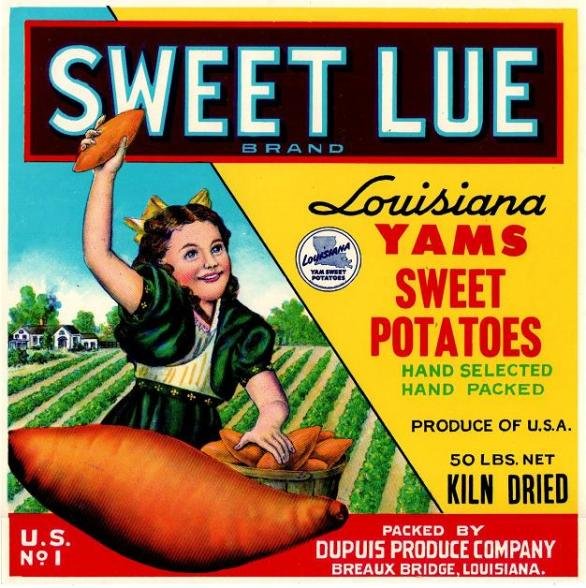 sweet lue sweet patatoes produce of usa