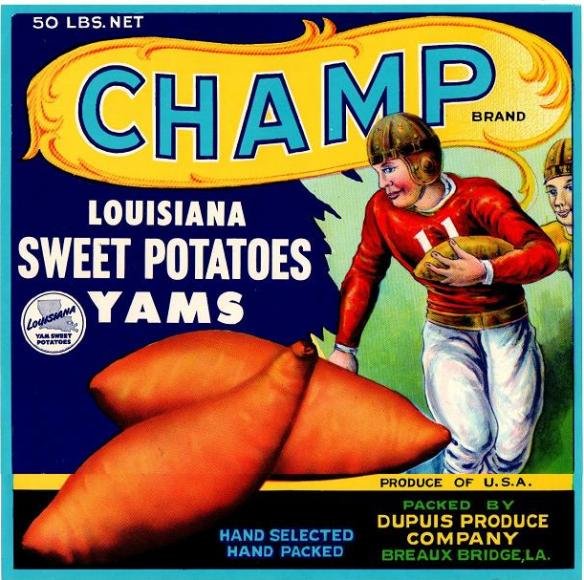 champ sweet pataroes produce of usa