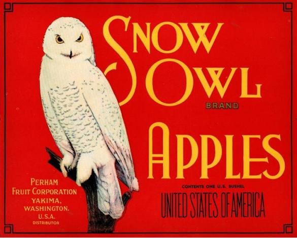 snow sowl apples usa
