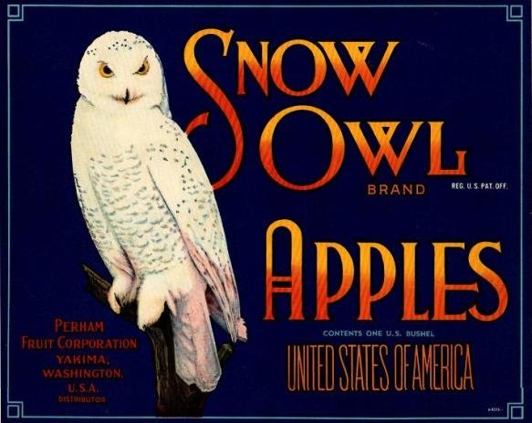 snow sowl apples usa