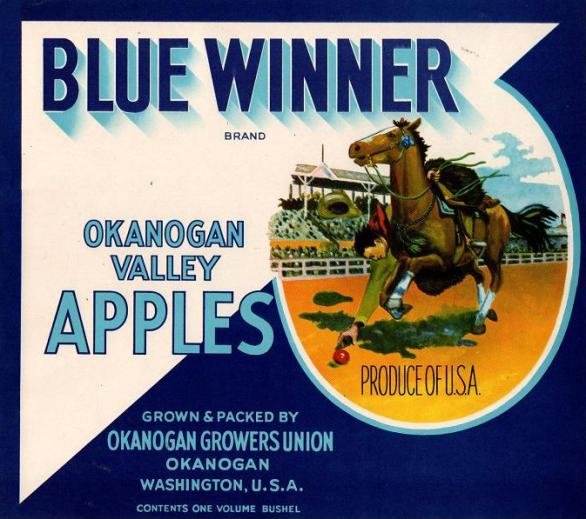 blue winner apples usa